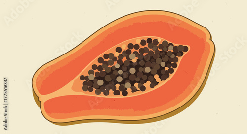 Illustration of sliced papaya with seeds, displaying tropical freshness