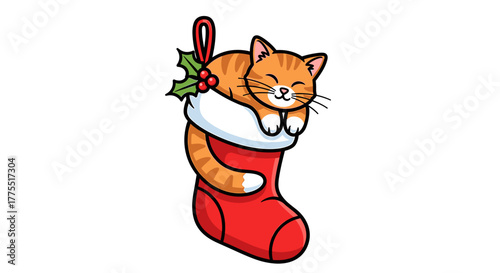 Cute orange tabby cat sleeping peacefully inside a red Christmas stocking adorned with green holly and red berries.