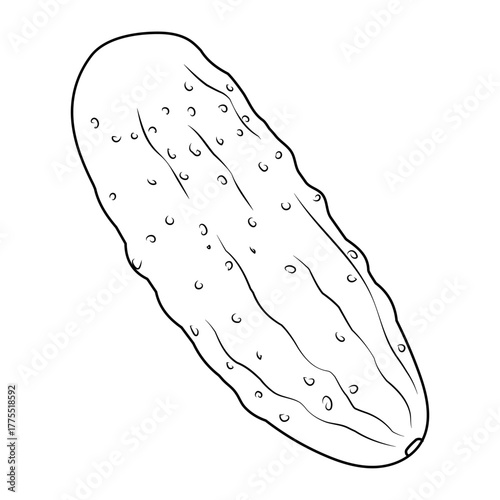  Cucumber in contour, in the style of line art. A healthy vegetarian dish. Illustrations for packaging, labels, menus, signage. Ingredients for vegetable salad.
