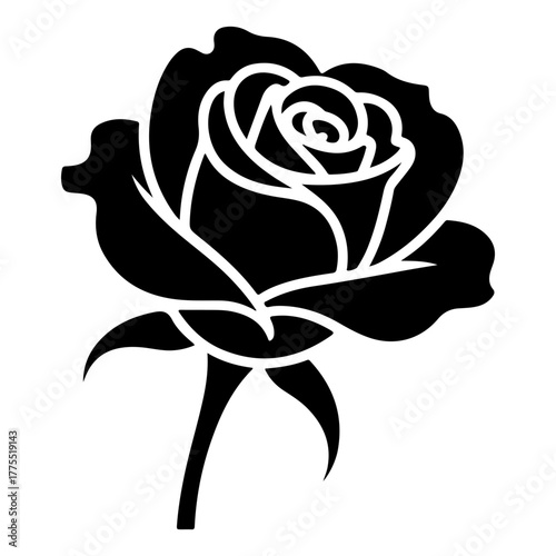 Black rose silhouette, a symbol of love and beauty