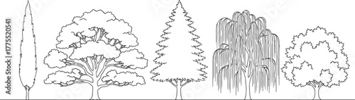 Black silhouette illustration of five distinct tree species—cypress, oak, pine, willow, maple—botanical variety, foliage shape, landscape sketch