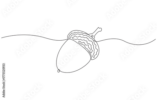 Continuous one line drawing of acorn, single line acorn seed, autumn forest concept vector illustration. 