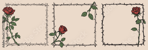 Vintage thorn rose frame set featuring red roses and thorn borders. Elegant botanical illustration style, perfect for gothic invitations, romantic designs, tattoo art, and decorative layouts.