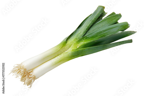 Fresh bunch of green scallions