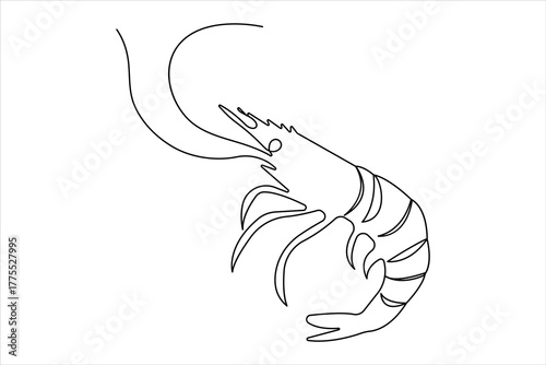 Simple shrimp one line drawing illustration in modern minimalist continuous outline style
