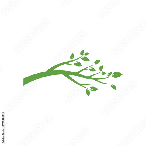 Simple green tree branch with fresh leaves extending horizontally, symbolizing nature and growth.