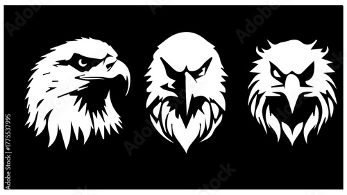 This is Bald Eagle Vector  , The National Bird .