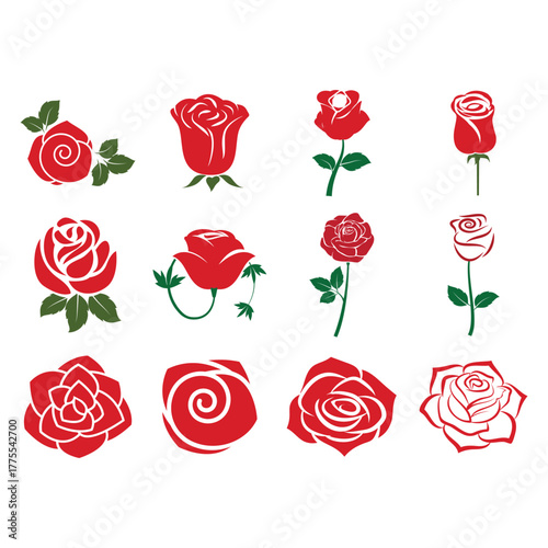 Valentine Day rose flower of love vector illustration set isolated on white. Red pink roses floral print collection for 14 February holiday.