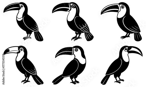 Charming toucan bird collection, elegant black and white graphic for branding, invitations, and educational resources, originally designed as scalable vector art