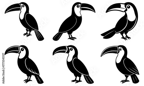 Elegant toucan bird illustration set, perfect for tropical designs and wildlife projects. Six detailed animal icons ideal for branding and creative projects