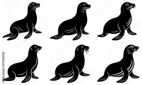 Playful seals, vector design, perfect for marine life illustrations, nautical themes, or animal-focused projects, add a touch of wild charm to your designs
