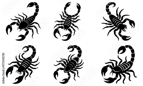 Detailed scorpion illustrations ready for your next design, perfect for tattoo artists, branding, or symbolic art projects, originally vector graphics