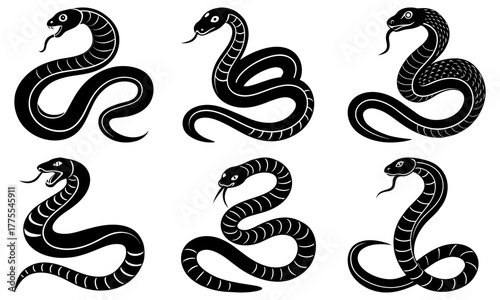 Mysterious snakes slithering, creating a sense of danger and intrigue for designs, tattoos, or educational materials, captivating wildlife illustration art
