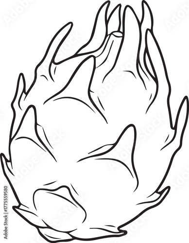 vector illustration of a dragon fruit
