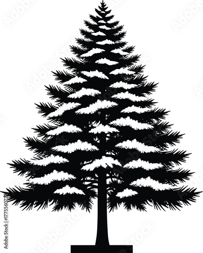 Beautiful silhouette of pine tree with snow covered branches in winter season, black and white evergreen forest nature illustration, isolated Christmas tree vector design