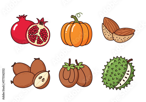 Collection of assorted fresh fruits and nuts including pomegranates, pumpkin, almonds, kiwi, persimmons, and durian displayed in a simple, clean illustration style, perfect for healthy eating themes