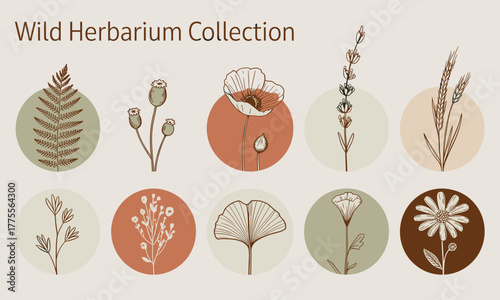Elegant Botanical Herbarium Collection with Floral Illustrations.