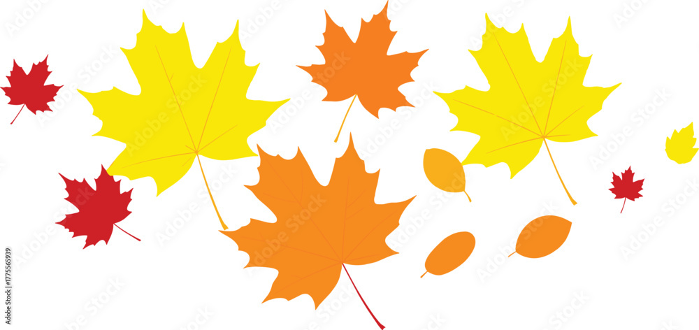 Obraz premium Vibrant autumn maple leaves in yellow, orange, and red hues gently cascade, forming a dynamic and picturesque seasonal display that beautifully embodies the spirit of fall