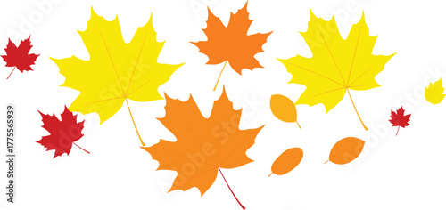 Vibrant autumn maple leaves in yellow, orange, and red hues gently cascade, forming a dynamic and picturesque seasonal display that beautifully embodies the spirit of fall