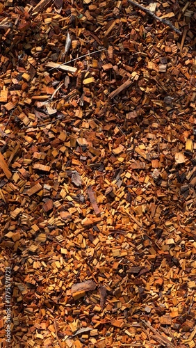 cascalho restos de madeira