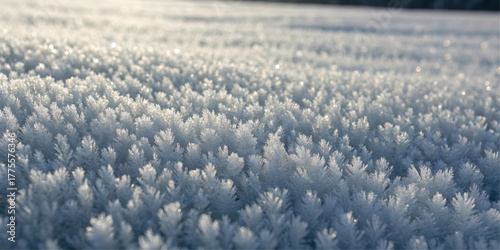 A macro background of frost on the ground. This vector texture shows cold ice crystals in a field with sun light. A beautiful, natural, and white design.