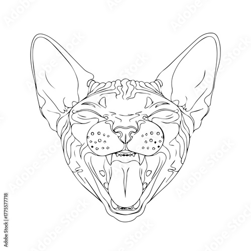 Detailed line art illustration of a yawning or hissing Sphynx cat head with an open mouth, a vector graphic for coloring or tattoos