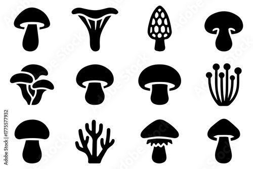collection of mashroom black icons set, vector illustration