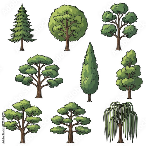 A diverse collection of illustrated trees, showcasing various types from towering conifers to elegant deciduous species, perfect for natural design and environmental themes