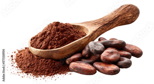 Wooden spoon filled with cocoa powder, beside cocoa beans