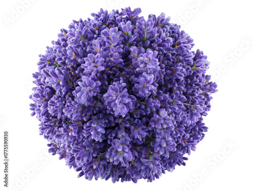 Close-up spherical arrangement of lavender flowers