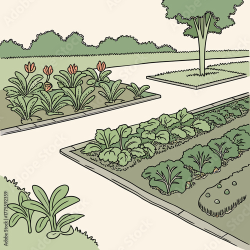 A charming illustration of a vegetable garden. It features neat rows of plants, flowers