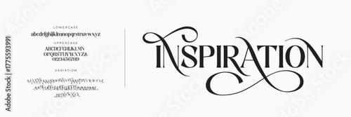 Elegant Font Uppercase Lowercase And Number. Classic Lettering Minimal Fashion Designs. Typography modern serif fonts regular decorative vintage concept. vector illustration	
