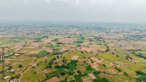 Aerial view of vast green farmland with a narrow countryside road cutting through wide open fields in India, highlighting rural landscape, agriculture, and natural growth.