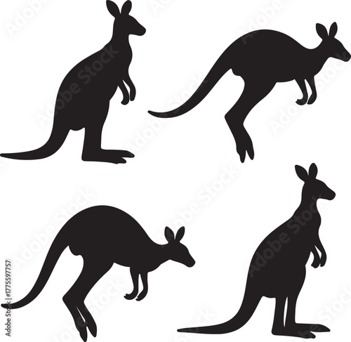 Set of silhouette kangaroo transparent