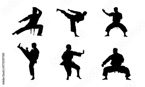 Karate fighter silhouette poses illustration, perfect for sports posters, martial arts logos, or training ads.