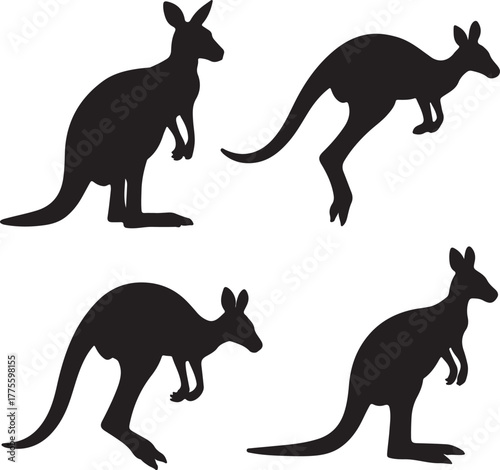 Set of silhouette kangaroo transparent