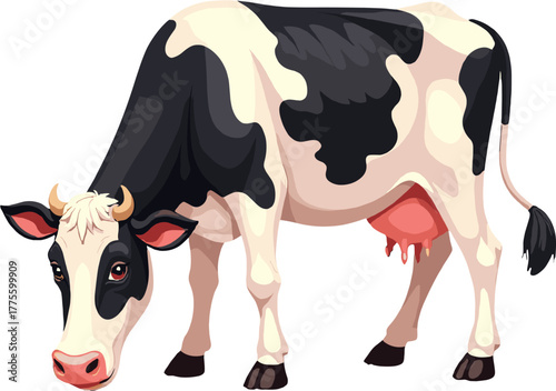 Farm cow eating grass on meadow, dairy livestock agriculture illustration, countryside pasture scene for milk production, eco farming design element