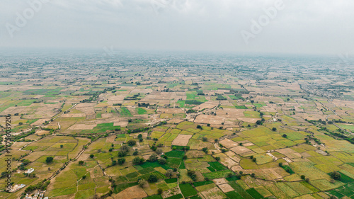 aerial view of rural landscape,  vast green farmland with a narrow countryside road cutting through wide open fields in India, highlighting rural landscape, agriculture, and natural growth