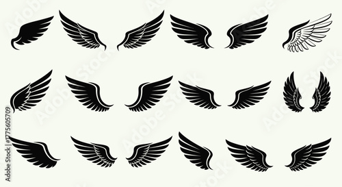 Set of various wings detailed illustrations tattoo emblems or heraldry isolated on white background