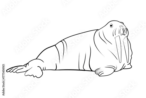Walrus Portrait in Minimal Line Drawing Style