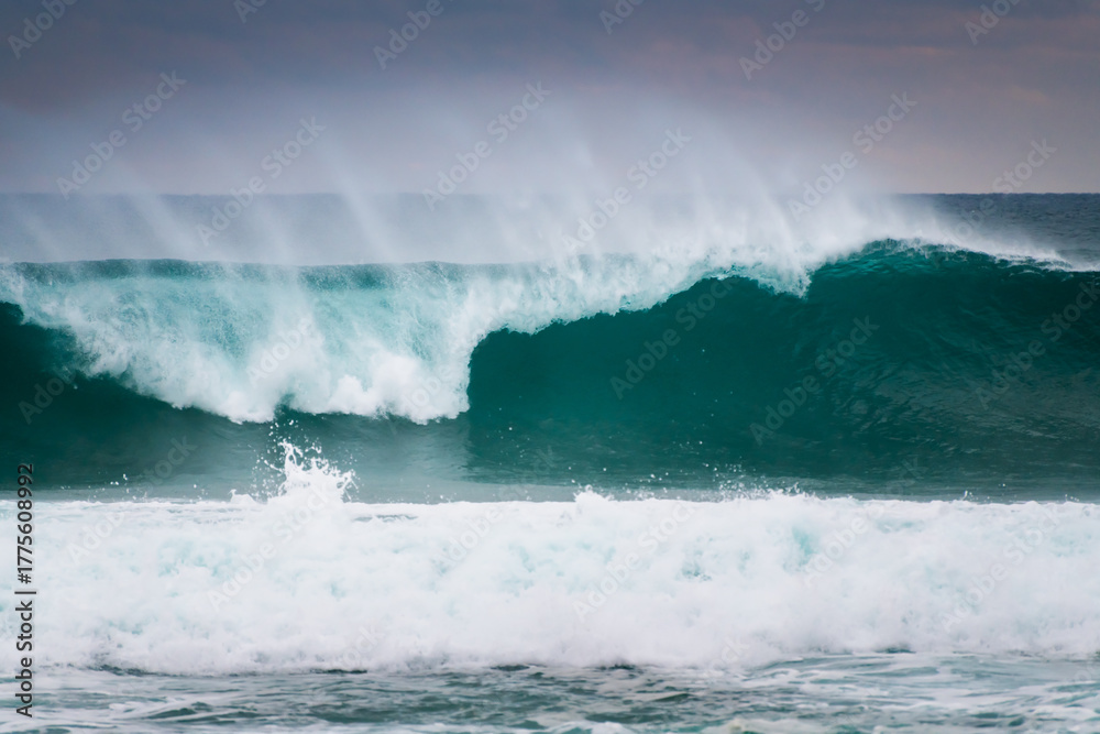Naklejka premium Big waves season in winter in Nazare, Portugal. Atlantic ocean coast at sunset