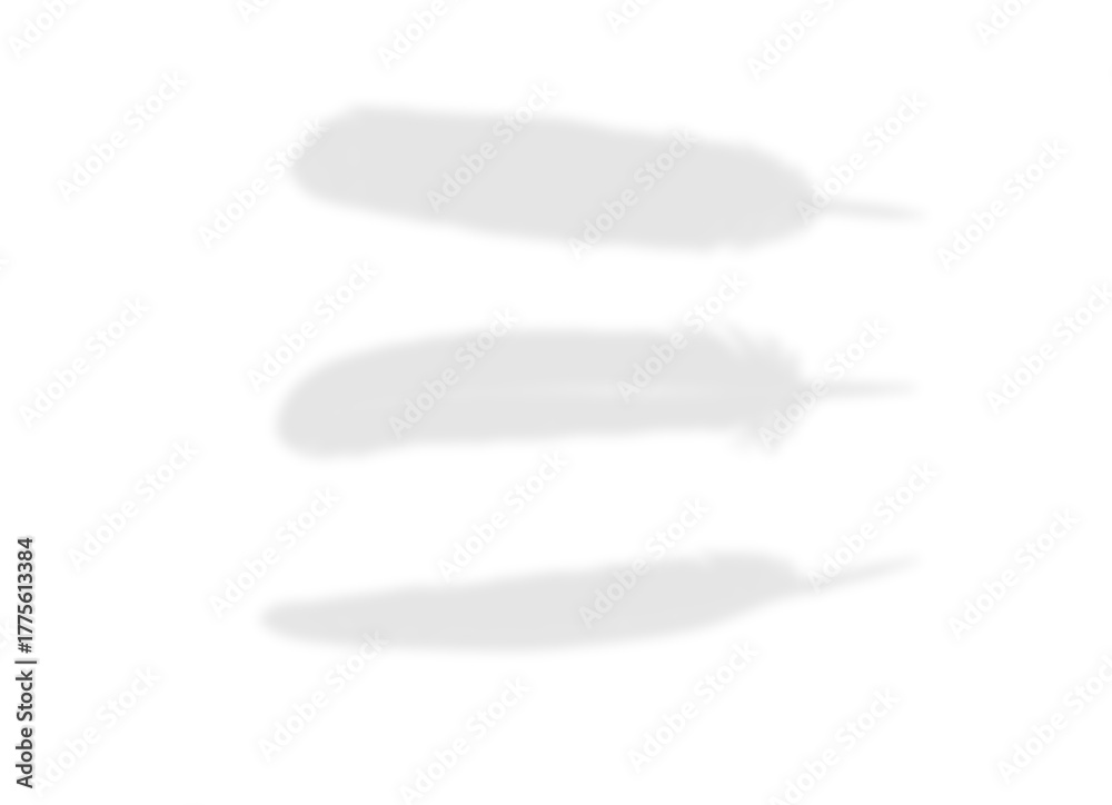 Fototapeta premium White Feather Shadow