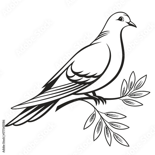 A serene dove perches gracefully on an olive branch, symbolizing peace and tranquility, its sleek form and detailed feathers create a calming image