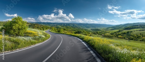 A countryside asphalt road stretching across green fields with blooming flowers under a bright sunny spring sky, photorealistic and cinematic.