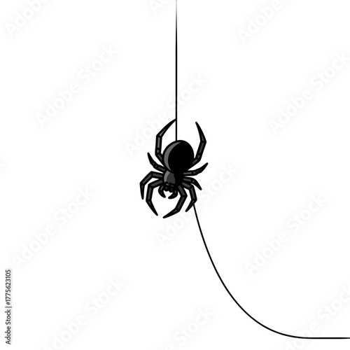 Spider on Silk: A sleek, black spider descends gracefully on its silk thread, embodying the silent hunter's agility. A minimalist portrayal of arachnid life.