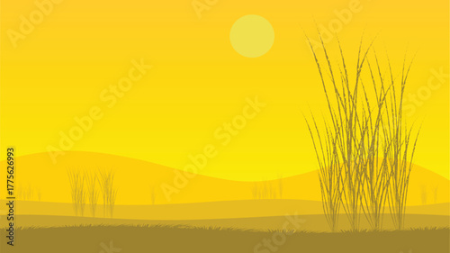 African Mountain Grassland Sunset View African Savannah