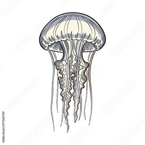 Jellyfish illustration with detailed tentacles and soft colors  