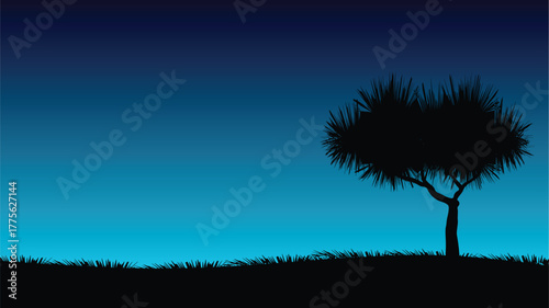 Night darkness in the African savanna grasslands. Night scenery.