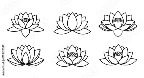 Line art illustration of six lotus flowers in varying bloom stages