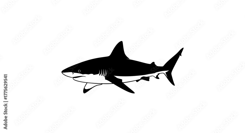 Obraz premium A black and white illustration of a shark swimming, showcasing its dorsal fin and streamlined body.